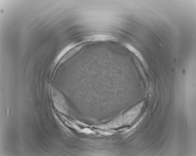 X0000087671473200706011616