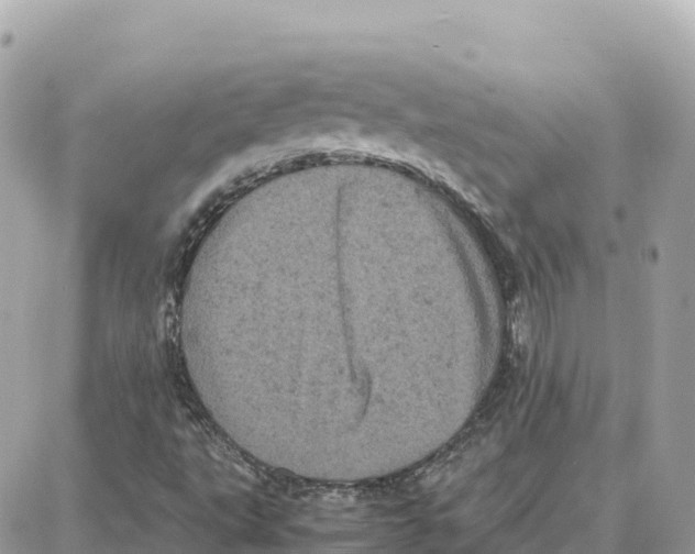 X0000087671495200706011615