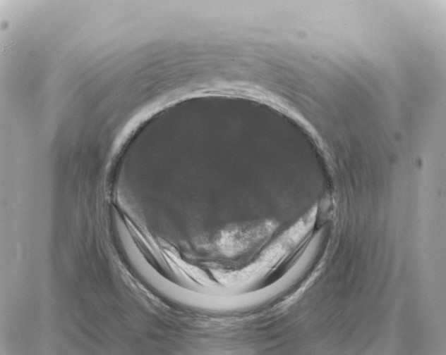 X0000087671506200706011616