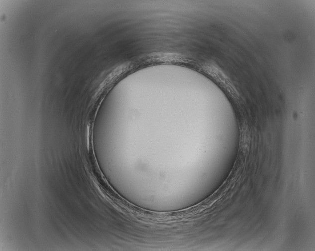 X0000087680014200705040802