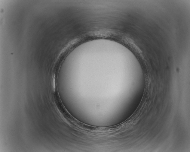 X0000087680020200705040802