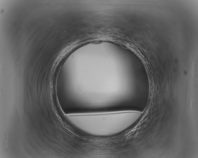 X0000087680055200705040801