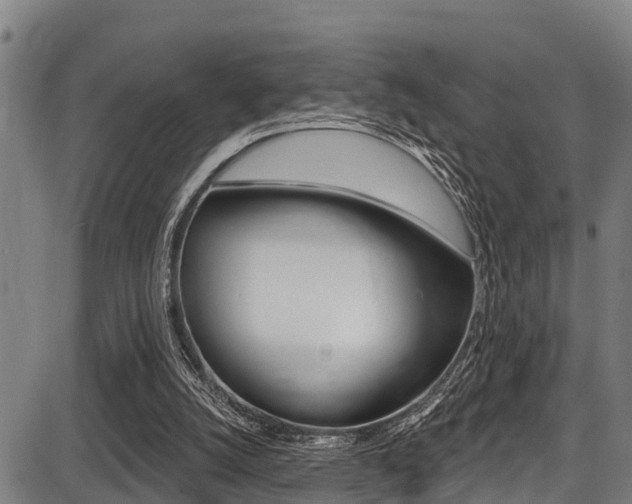 X0000087680056200705040801