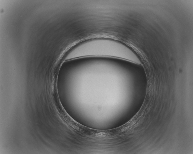 X0000087680064200705040801