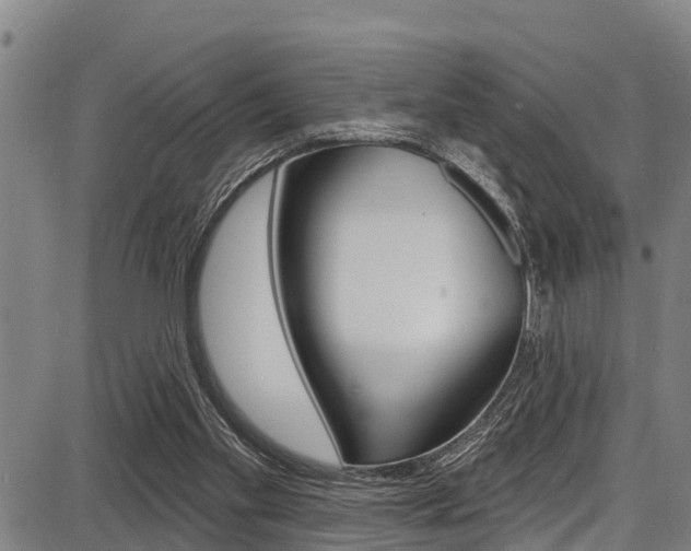 X0000087680109200705040800