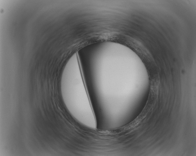 X0000087680127200705040800