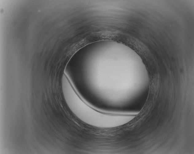 X0000087680137200705040800