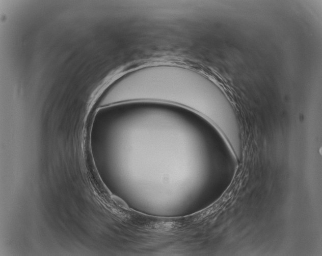 X0000087680152200705040759