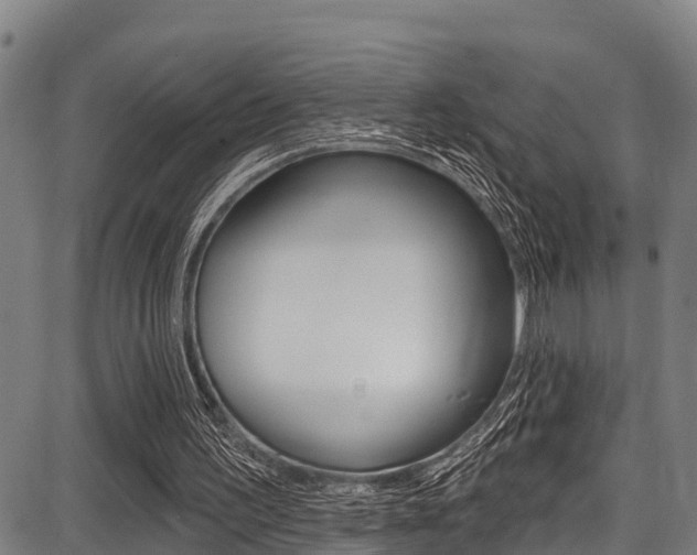 X0000087680195200705040759