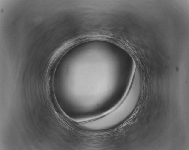 X0000087680197200705040759