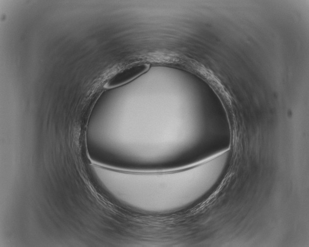 X0000087680201200705040759