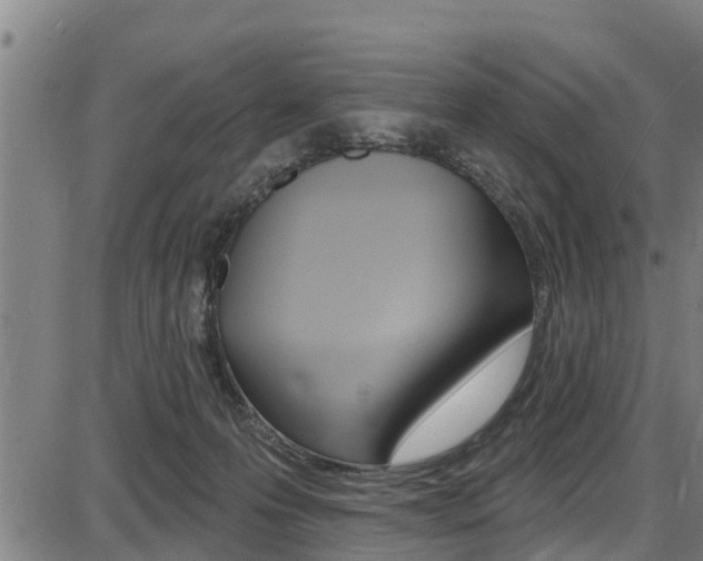 X0000087680223200705040758