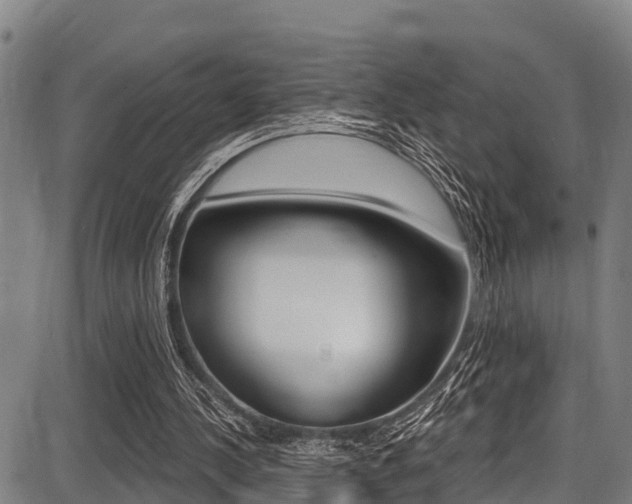 X0000087680244200705040757