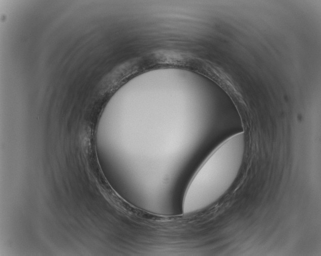 X0000087680265200705040758