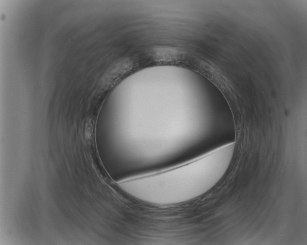 X0000087680277200705040758