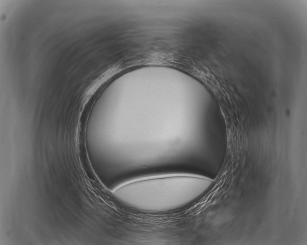 X0000087680292200705040757