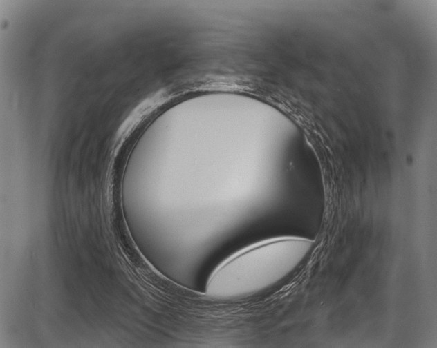 X0000087680296200705040757