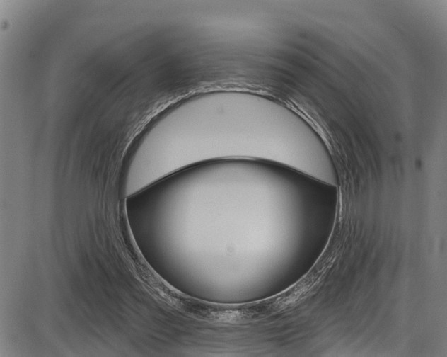 X0000087680301200705040757