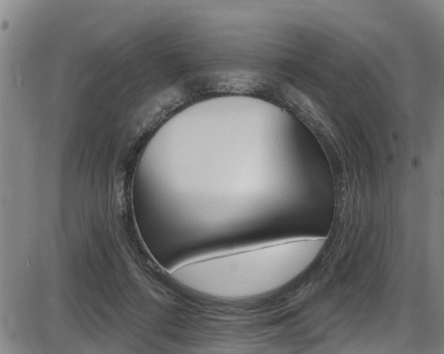 X0000087680312200705040757