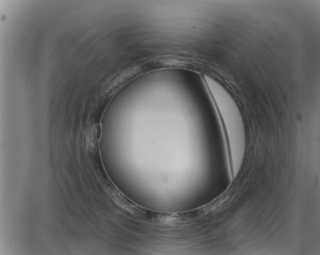 X0000087680325200705040757