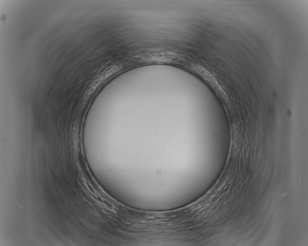 X0000087680386200705040756