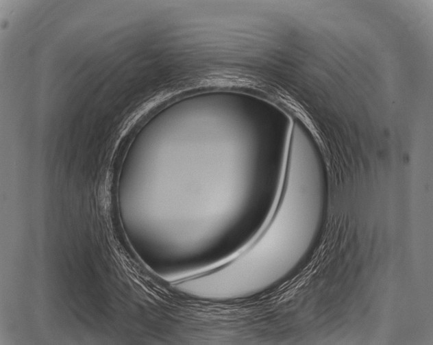 X0000087680387200705040756