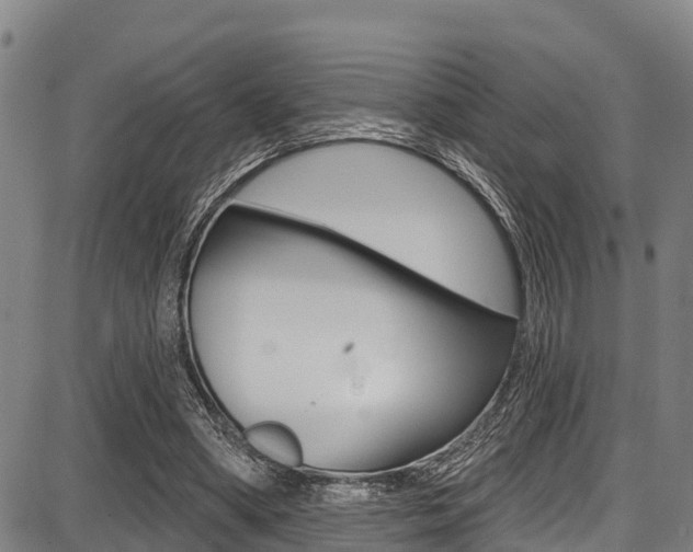 X0000087680394200705040756
