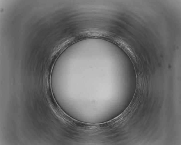 X0000087680398200705040756