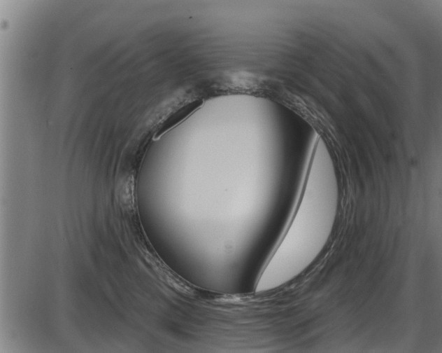 X0000087680425200705040755
