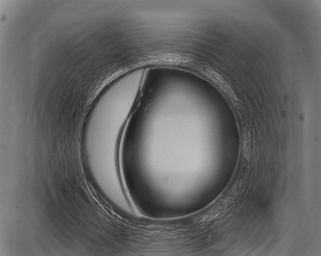 X0000087680434200705040754