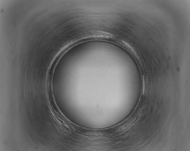 X0000087680435200705040754