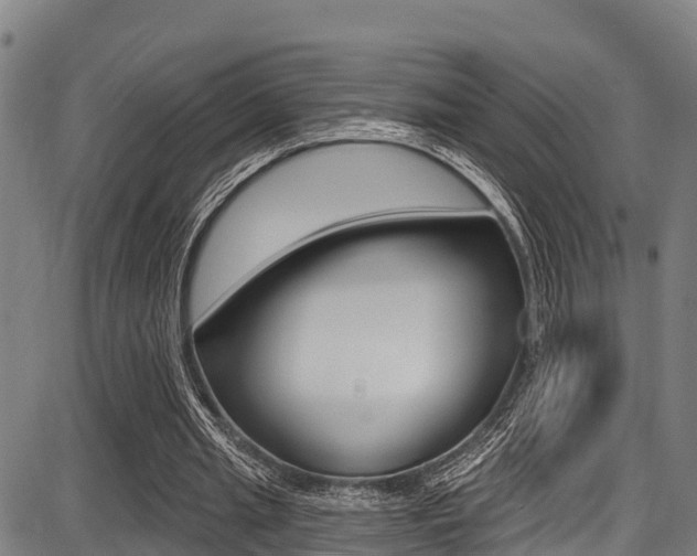 X0000087680437200705040754