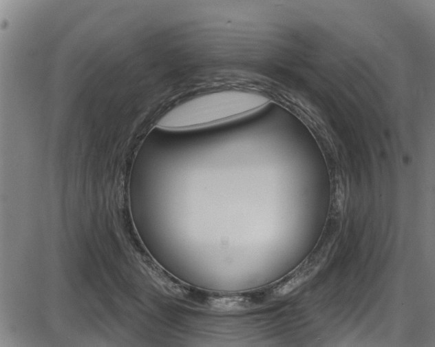 X0000087680461200705040755