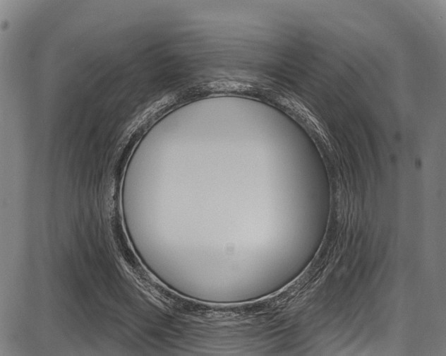 X0000087680490200705040754