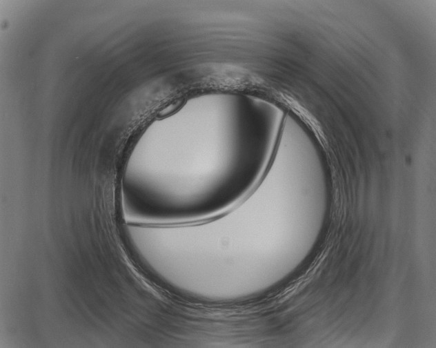 X0000087680493200705040754