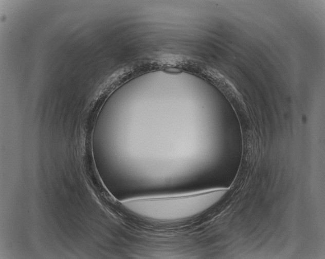 X0000087680496200705040754