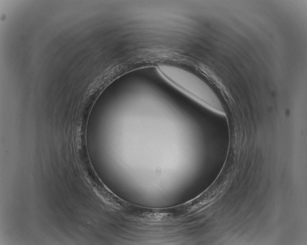 X0000087680497200705040754