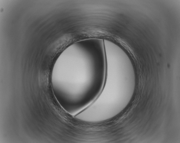 X0000087680501200705040754