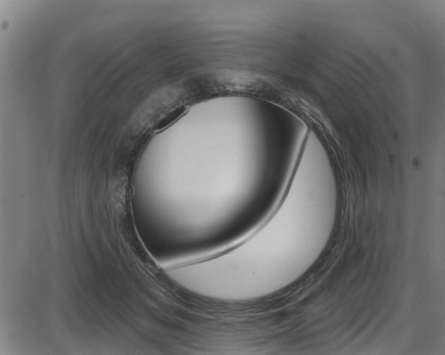 X0000087680509200705040754