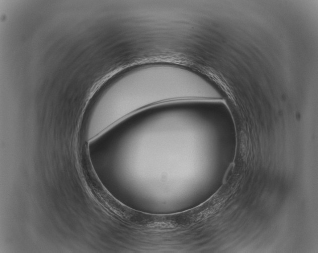 X0000087680536200705040753