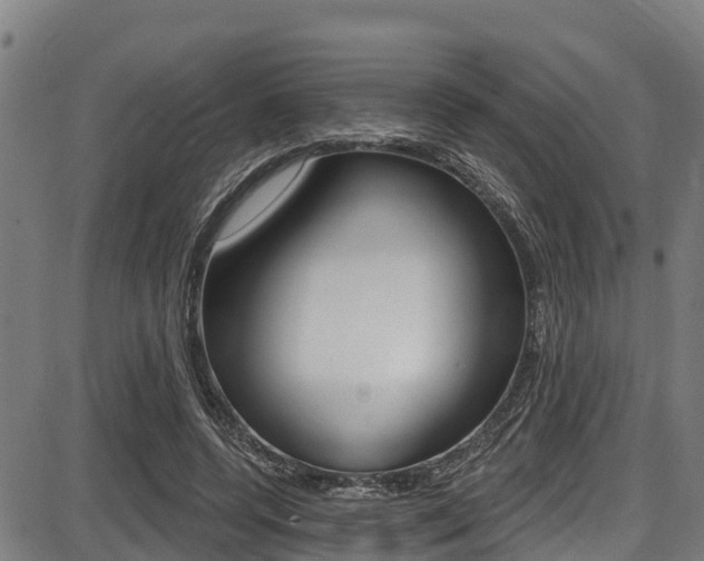 X0000087680544200705040753