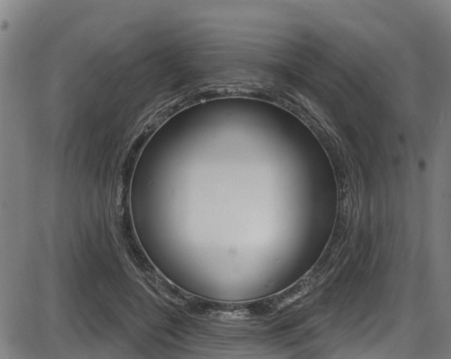 X0000087680548200705040753