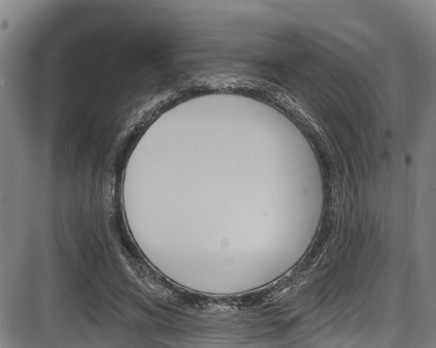 X0000087680592200705040752