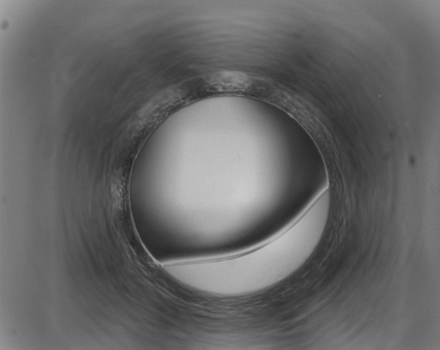 X0000087680604200705040752