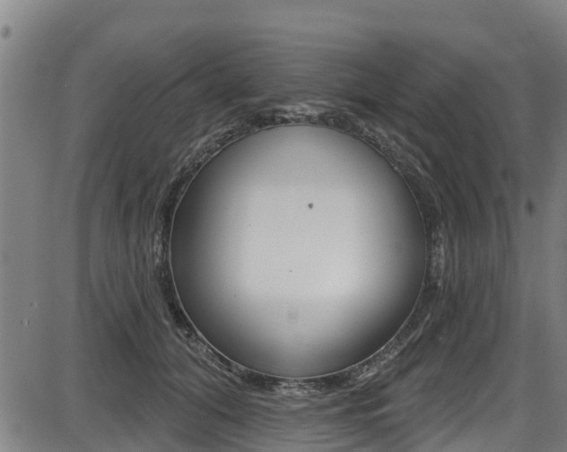 X0000087680608200705040752