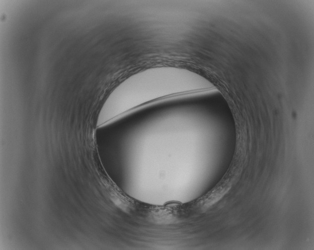 X0000087680624200705040752