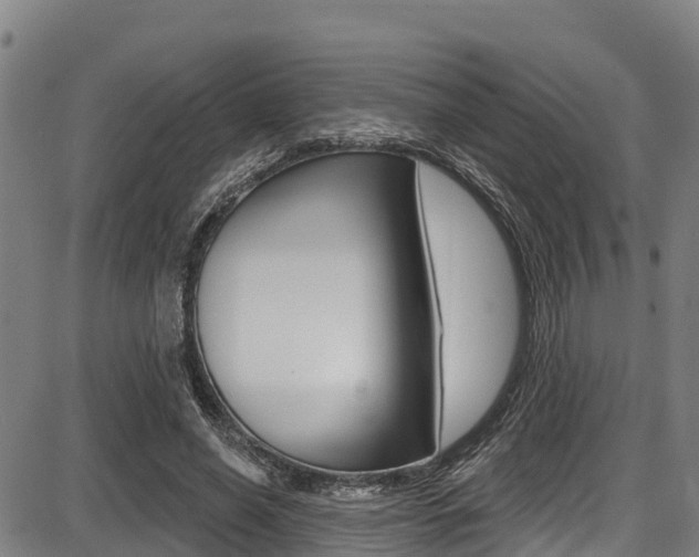 X0000087680638200705040751
