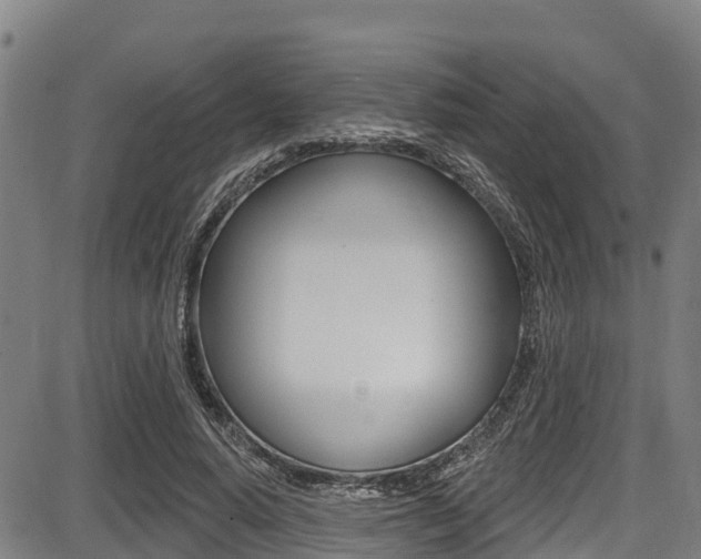 X0000087680640200705040751