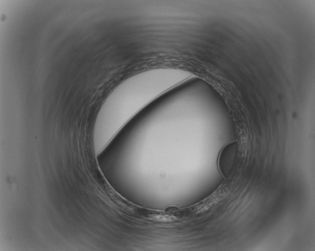 X0000087680654200705040752