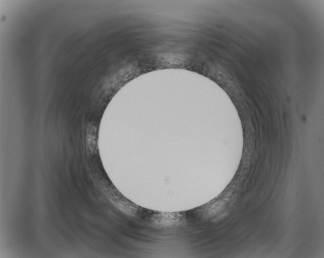 X0000087680672200705040752